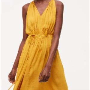 New petite tassel tie waist dress